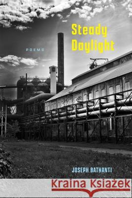 Steady Daylight: Poems Joseph Bathanti 9780807185858