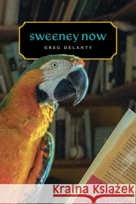 Sweeney Now Greg Delanty 9780807187357