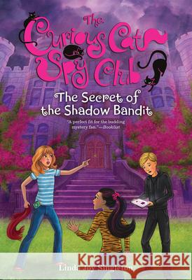 The Secret of the Shadow Bandit Linda Singleton 9780807513873