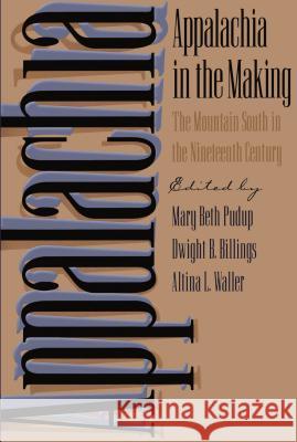 Appalachia in the Making: The Mountain South in the Nineteenth Century Pudup, Mary Beth 9780807845349 University of North Carolina Press