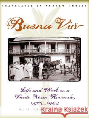 Buena Vista: Life and Work on a Puerto Rican Hacienda, 1833-1904 Baralt, Guillermo 9780807848012