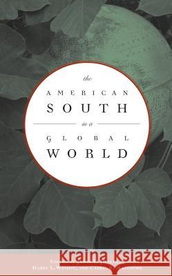 The American South in a Global World James L. Peacock Harry L. Watson Carrie R. Matthews 9780807855898 University of North Carolina Press