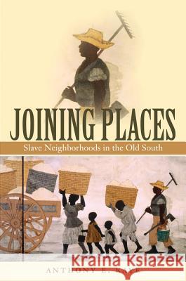 Joining Places: Slave Neighborhoods in the Old South Kaye, Anthony E. 9780807861790