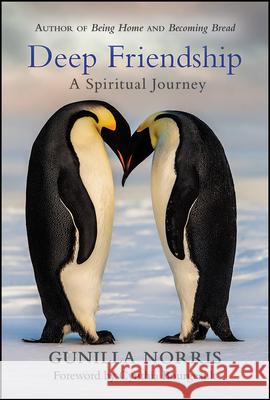 Deep Friendship: A Spiritual Journey Gunilla Norris 9780809157846
