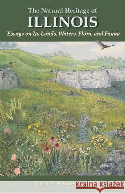 The Natural Heritage of Illinois: Essays on Its Lands, Waters, Flora, and Fauna John E. Schwegman 9780809334841 Southern Illinois University Press