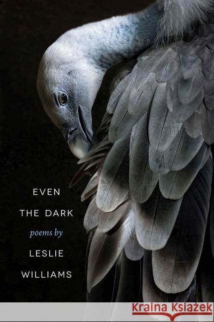 Even the Dark Leslie Williams 9780809337491 Southern Illinois University Press