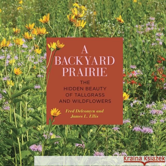A Backyard Prairie: The Hidden Beauty of Tallgrass and Wildflowers Fred Delcomyn James L. Ellis 9780809338184 Southern Illinois University Press