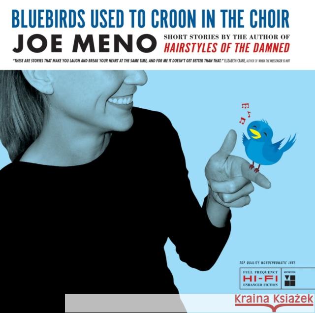 Bluebirds Used to Croon in the Choir: Stories Meno, Joe 9780810124240 Triquarterly Books