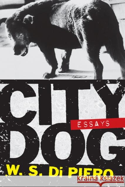 City Dog: Essays Di Piero, W. S. 9780810125162 Northwestern University Press