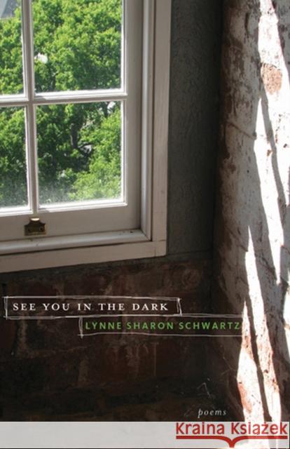 See You in the Dark Schwartz, Lynne Sharon 9780810127999