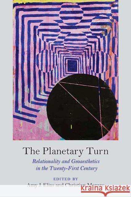 The Planetary Turn: Relationality and Geoaesthetics in the Twenty-First Century Amy J. Elias Christian Moraru 9780810130753 Northwestern University Press