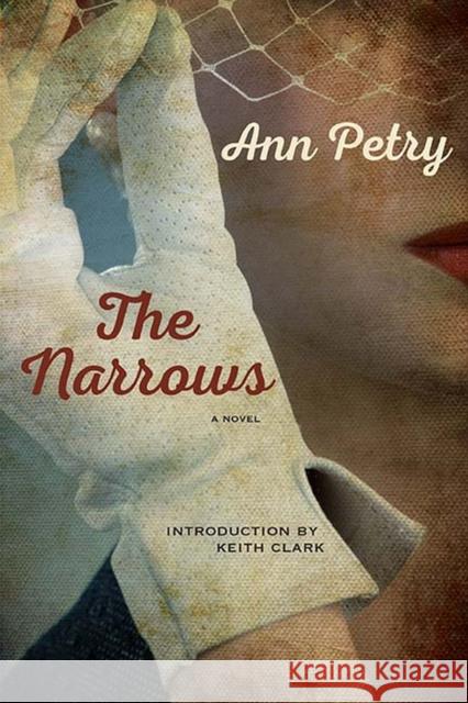 The Narrows Ann Petry Keith Clark 9780810135512 Northwestern University Press