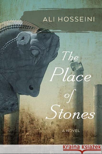 The Place of Stones Ali Hosseini 9780810135758 Curbstone Press