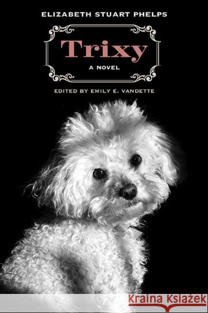 Trixy Elizabeth Stuart Phelps Emily E. Vandette 9780810140431 Curbstone Press