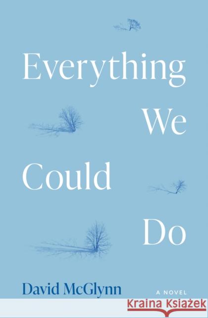 Everything We Could Do David McGlynn 9780810149175 Triquarterly Books