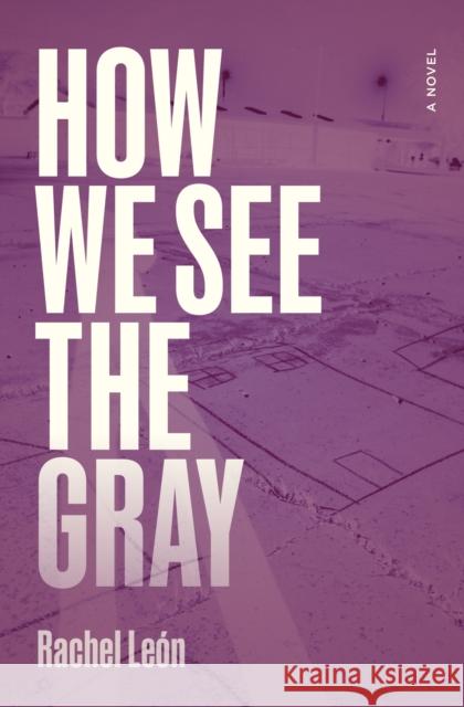 How We See the Gray Rachel Leon 9780810149892 Northwestern University Press