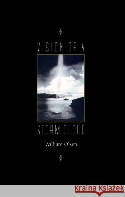 Vision of a Storm Cloud William Olsen 9780810150447