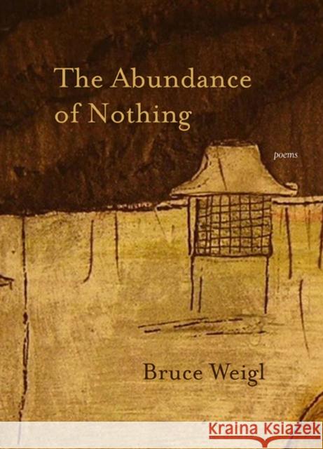 The Abundance of Nothing Weigl, Bruce 9780810152236