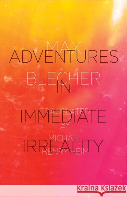 Adventures In Immediate Irreality Max Blecher 9780811217606