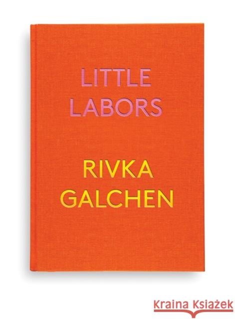 Little Labors Rivka Galchen 9780811225588