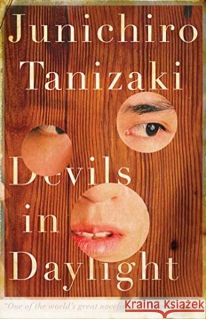Devils in Daylight Junichiro Tanizaki J. Keith Vincent 9780811228756