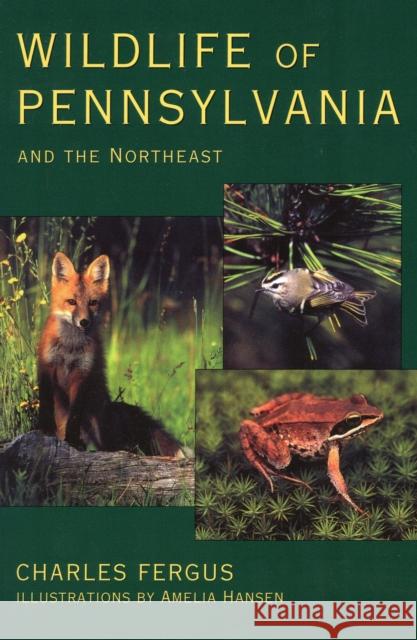 Wildlife of Pennsylvania and the Northeast Charles Fergus, Amelia  Hansen 9780811728997 Stackpole Books