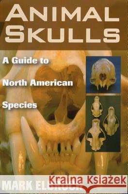 Animal Skulls: A Guide to North American Species Mark Elbroch 9780811733090 Stackpole Books