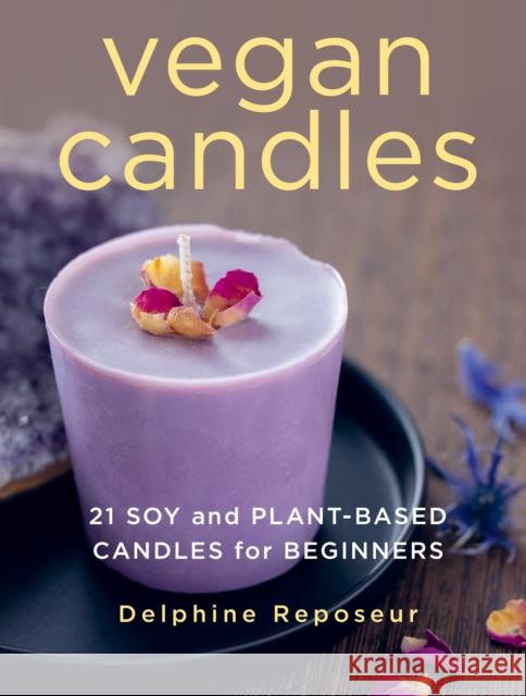 Vegan Candles: 21 Soy and Plant-based Candles for Beginners Delphine Reposeur 9780811772808 Stackpole Books