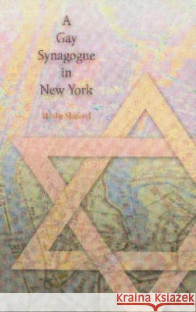 A Gay Synagogue in New York Moshe Shokeid 9780812218404