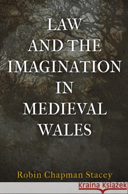 Law and the Imagination in Medieval Wales Robin Chapman Stacey 9780812250510 University of Pennsylvania Press