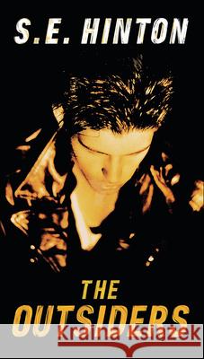 The Outsiders S. E. Hinton 9780812416404 Perfection Learning