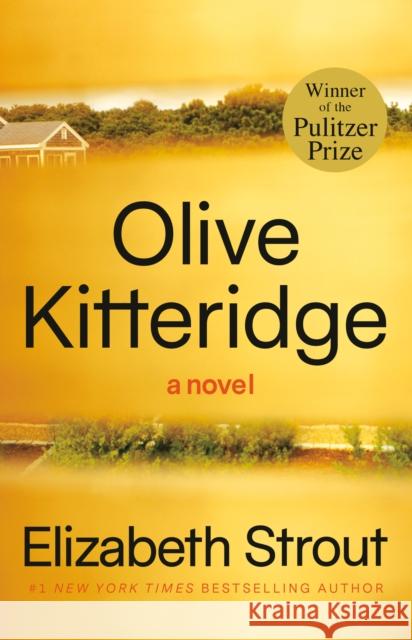 Olive Kitteridge: Fiction Elizabeth Strout 9780812971835