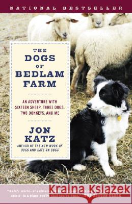 The Dogs of Bedlam Farm: An Adventure with Sixteen Sheep, Three Dogs, Two Donkeys, and Me Jon Katz 9780812972504 