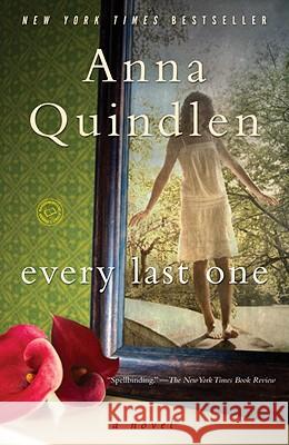 Every Last One Anna Quindlen 9780812976885