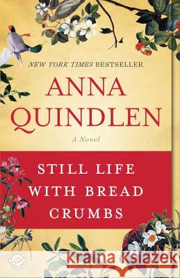 Still Life with Bread Crumbs Anna Quindlen 9780812976892 Random House Trade