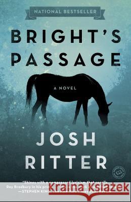 Bright's Passage Josh Ritter 9780812981841