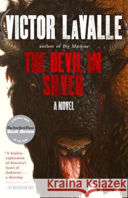 The Devil in Silver Victor Lavalle 9780812982251