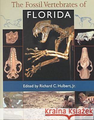 The Fossil Vertebrates of Florida Richard C. Hulbert 9780813018225 University Press of Florida