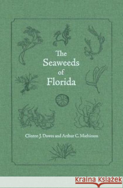 The Seaweeds of Florida Clinton J. Dawes Arthur C. Mathieson 9780813031484 University Press of Florida