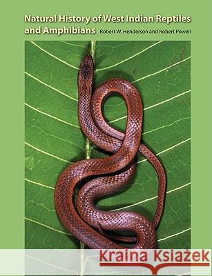 Natural History of West Indian Reptiles and Amphibians Henderson, Robert W. 9780813033945 University Press of Florida