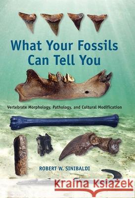 What Your Fossils Can Tell You : Vertebrate Morphology, Pathology, and Cultural Modification Robert W. Sinibaldi 9780813034256