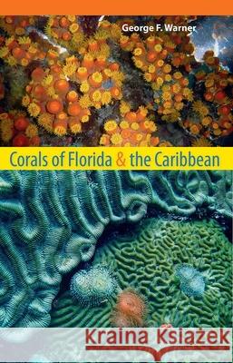 Corals of Florida and the Caribbean George F Warner 9780813041650 0