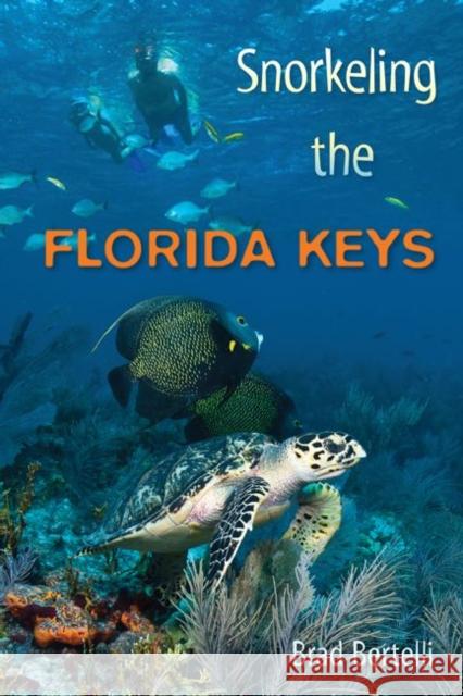 Snorkeling the Florida Keys Brad Bertelli 9780813044521 University Press of Florida