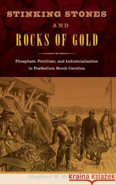 Stinking Stones and Rocks of Gold: Phosphate, Fertilizer, and Industrialization in Postbellum South Carolina McKinley, Shepherd W. 9780813049243 University Press of Florida