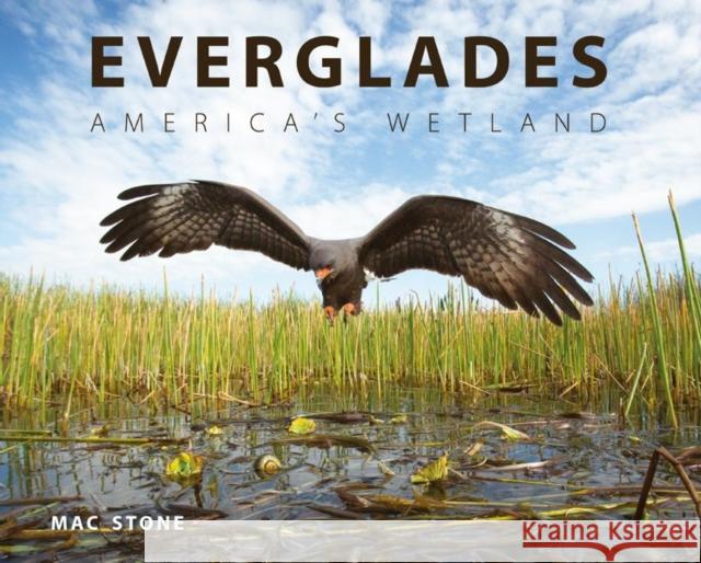 Everglades: America's Wetland Stone, Mac 9780813049854 University Press of Florida