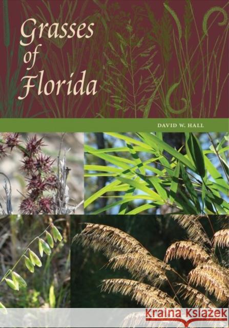 Grasses of Florida David W. Hall 9780813056050 University Press of Florida