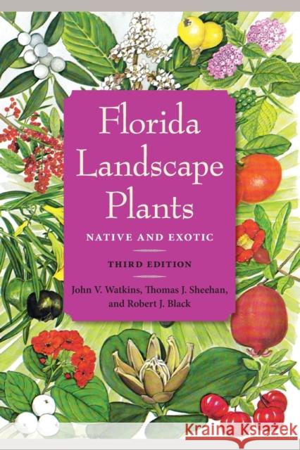Florida Landscape Plants: Native and Exotic Watkins, John V. 9780813060538 University Press of Florida