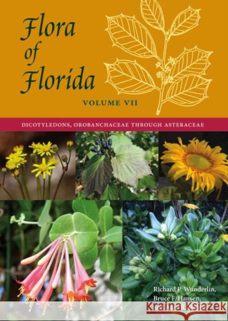 Flora of Florida, Volume VII: Dicotyledons, Orobanchaceae through Asteraceae Wunderlin, Richard P. 9780813066264 University Press of Florida