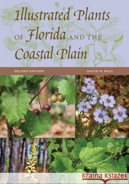 Illustrated Plants of Florida and the Coastal Plain David W. Hall 9780813066561 University Press of Florida