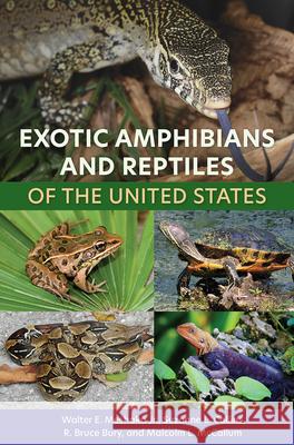 Exotic Amphibians and Reptiles of the United States Walter E. Meshaka Suzanne L. Collins R. Bruce Bury 9780813066967 University Press of Florida